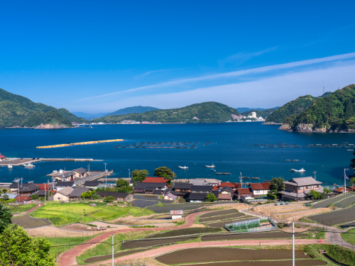 塩害地